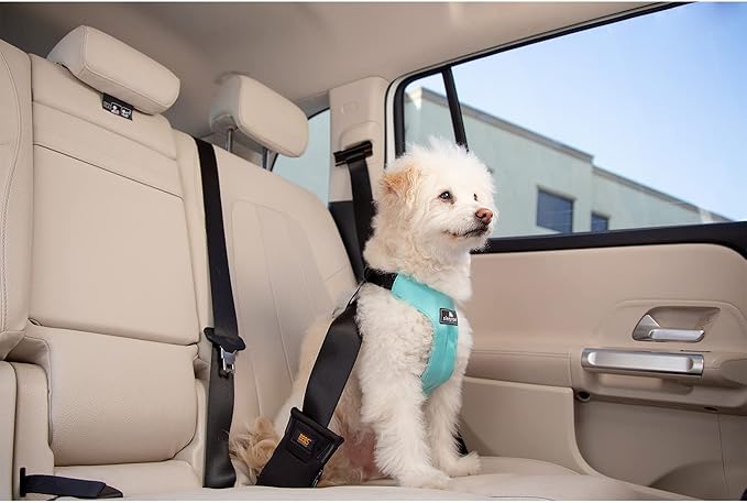 Clickit Sport Plus - Crash-Tested and Safety Certified Car Seat Belt Harness for Dogs (Extra Large, First Blush)