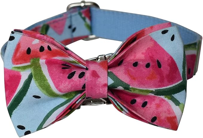 Personalized Dog Collars for Puppy Small Medium Large Pets with Engraved Name and Phone Number (S, Watermelon)