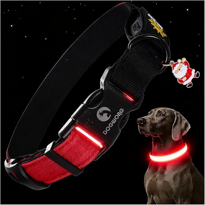 DOGWONG LED Dog Collar - Heavy Duty Light up Collars - Rechargeable Waterproof - Lighted Dog Collar for Night Walking, Hiking, Camping(Red,L)
