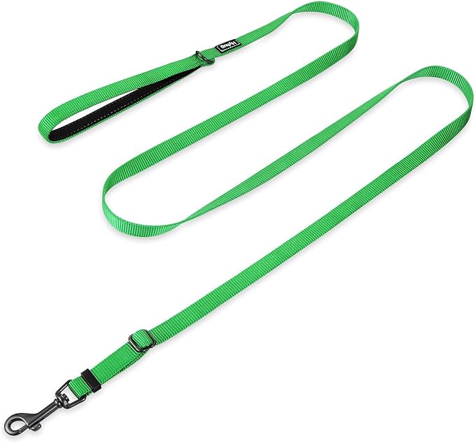 Hyhug Nylon Adjustable 4-6ft Dog Leash with Soft Neoprene Padded Handle, Durable Heavy Duty Leash with Easy-to-Use Bolt Snap, Ideal for Jogging Outdoor