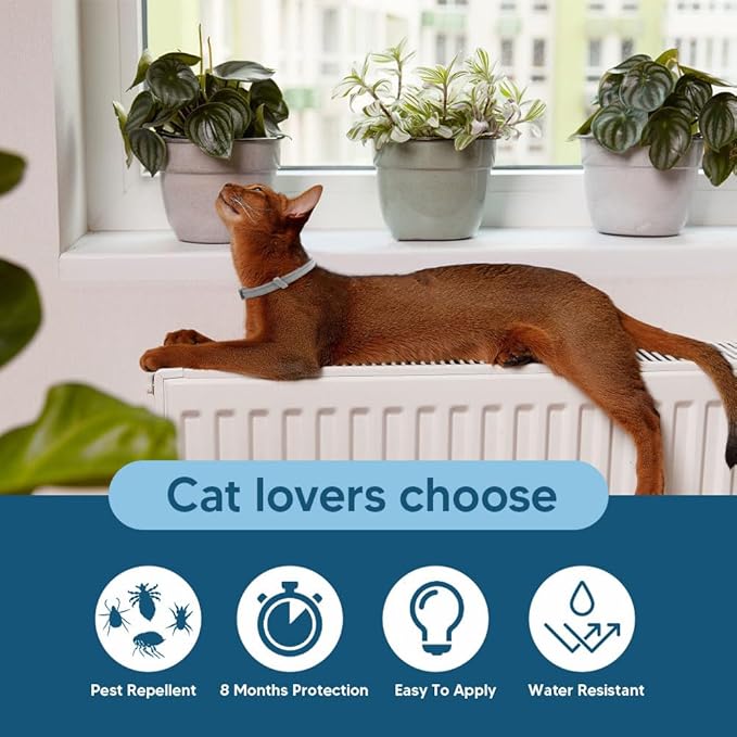 Flea Collar for Cats, Cat Flea and Tick Collar, Cat Flea Collars, Kitten Tick Collars, Adjustable 8 Months Protection (Pack of 2)