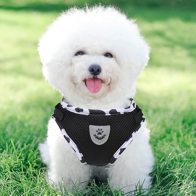 FEimaX Dog Harness and Leash Set for Walking, Soft Mesh Adjustable Easy Control Lightweight Cat Vest Harnesses with Reflective Strips, Escape Proof Small Dogs Cats Vests (Cowblack, X-Small)