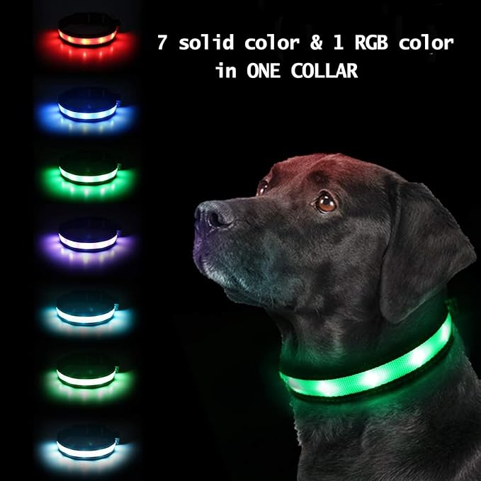 Light Up Dog Collar, Safety LED Dog Collars Rechargeable 7 Colors in One Lighted Dog Collar Glow in The Dark Dog Walking Light, Neon Durable Nylon Adjustable Buckle for Small/Medium/Large Dogs, M Size