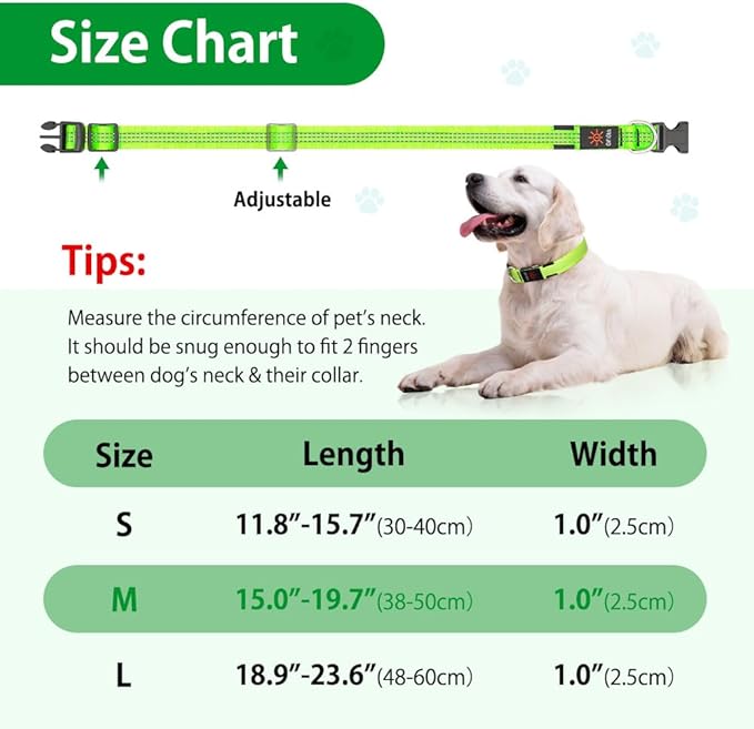 DOMIGLOW Light Up Dog Collars - USB Rechargeable Reflective LED Dog Collar, Water-Resistant Glow Pet Collar Lights for Night Walking Camping (Green, Medium)