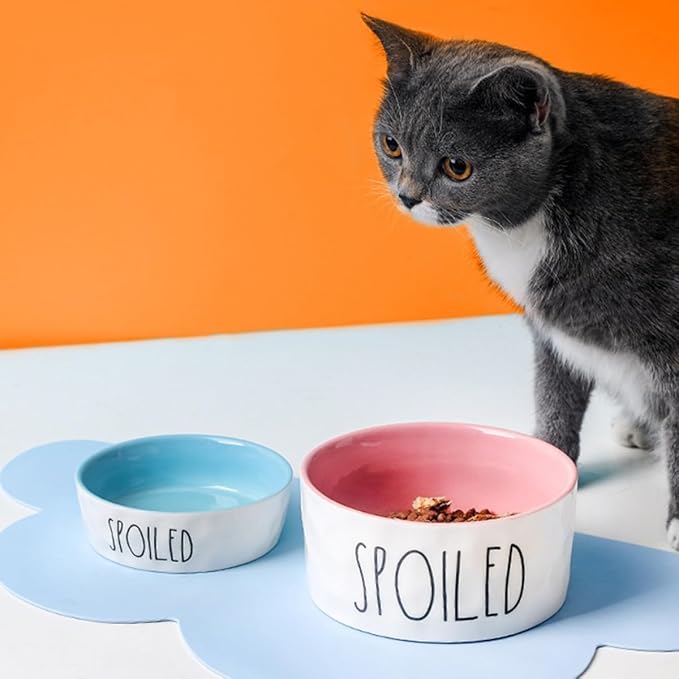 Ceramic Pet Bowl Small Pink Dog Food Bowl with Neck Protection Pet Feeder for Cats and Dogs Feeding Supplies