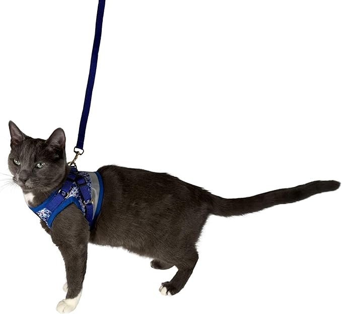 Travel Cat Harness and Leash Set - Adjustable Fit Mesh Cat Harness and Reflective Strap - Comfort Walking Vest for Kitten for Outdoor Walking, Hiking (Medium, Groovy)