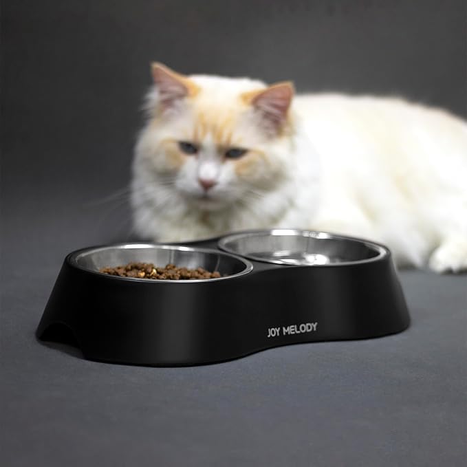Joy Melody Non Slip Food and Water Bowl Set with Stand for Cat, Samll Dog, Rabbit, Stainless Steel Elevated Kitten Feeder, Anti Vomiting Dish for Puppy, Bunny, Dishwasher Safe, Whisker Fatigue