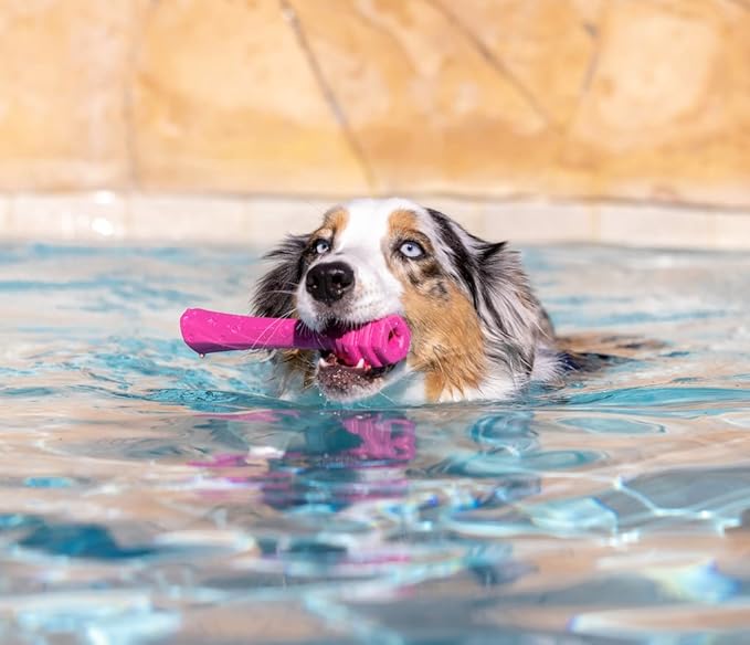 PROJECT HIVE ·PET COMPANY· - Wild Berry Scented - Hive Dog Fetch Stick for Large Breeds - Dog Stick Toy - Floats in Water - Treat Dispenser Toy - Durable and Tough - Made in The USA