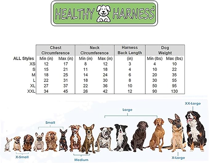 Supreme Sport Dog Harness with Leash - No Choke/Pull/Escape Dog Harness with Adjustable Padding, Easy On/Off, High Strength Buckles, Emergency Handle and 3 Connect Points (Silver, M)