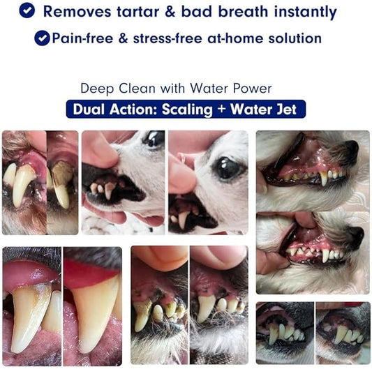 Canivet Silent Sonic Plaque & Tartar Remover for Dogs – Ultra-Quiet Dental Cleaner with Scaler, Toothbrush Heads, Water Flosser Rechargeable, Small & Large Dog Friendly