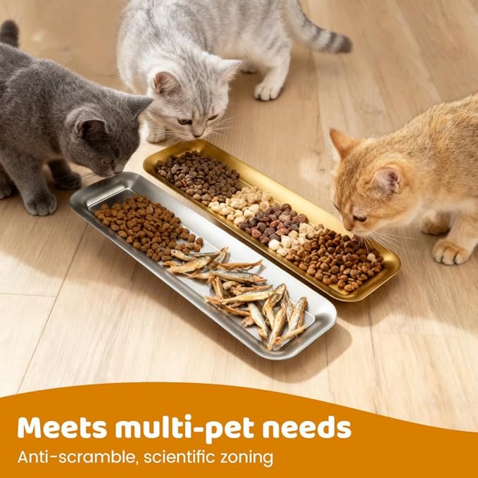 Cat Food Bowl,2 PCS 304 Stainless Steel Wide Rectangular Shallow Kitten Bowls for Small Medium Sized Cats Dogs