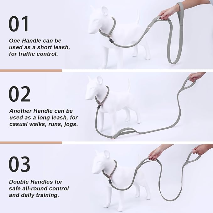 Slip Lead Dog Leash, Double Handle, Soft Leather, Heavy Duty Nylon, No Pull Walking, Grey, 5ft