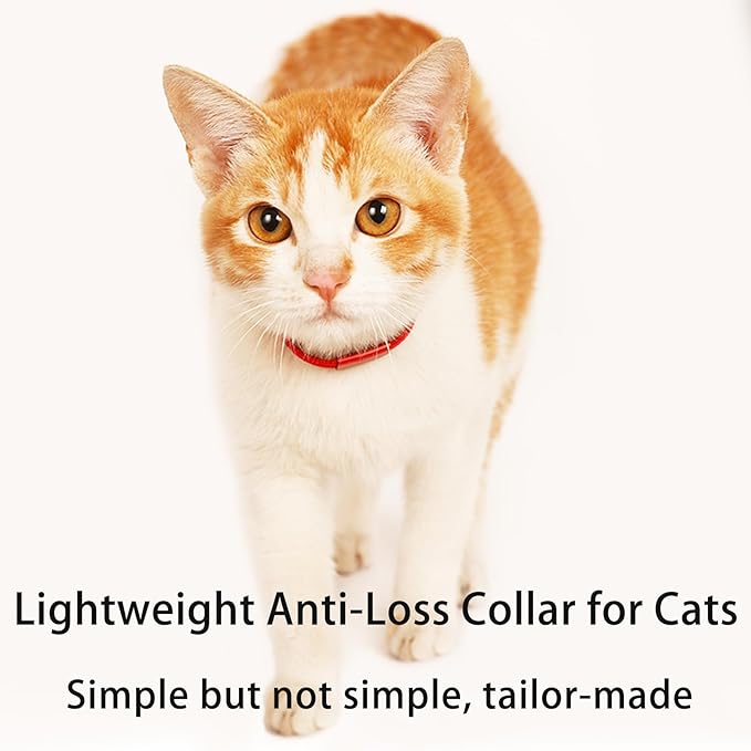 Minimalist Stretch Lightweight Custom Engraved Cat Collar with Name Tag Personalized Cat Collars for Kitten Boy & Girl Cats (Silver White, Collar with Nameplate)
