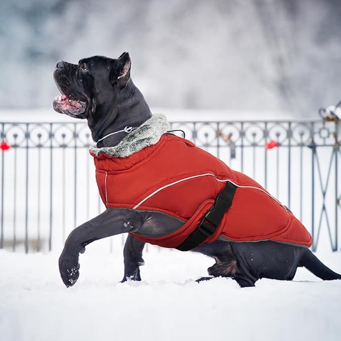 DENTRUN Winter Warm Dog Coat Reflective Jacket with Turtleneck for Cold Weather, Adjustable Buckle Windproof Water Repellent, Thick Snowsuit Fleece Vest for Small, Medium, Large Dogs, Red, M