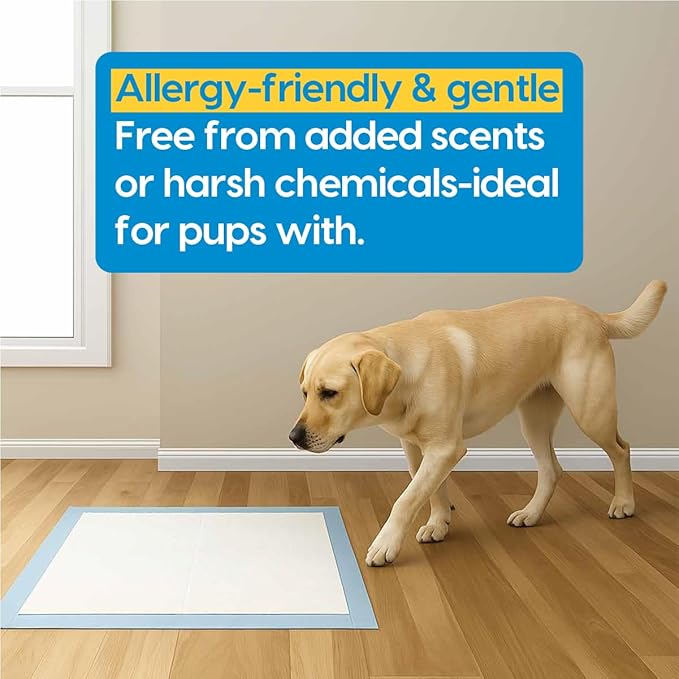 Animal Planet PETS Puppy Pads - Large 22"x22" – 30 Count | Pee Pads for dogs - Leak-Proof and Fast-Absorbing Training Pads - puppy essentials - wee wee pads for Dogs