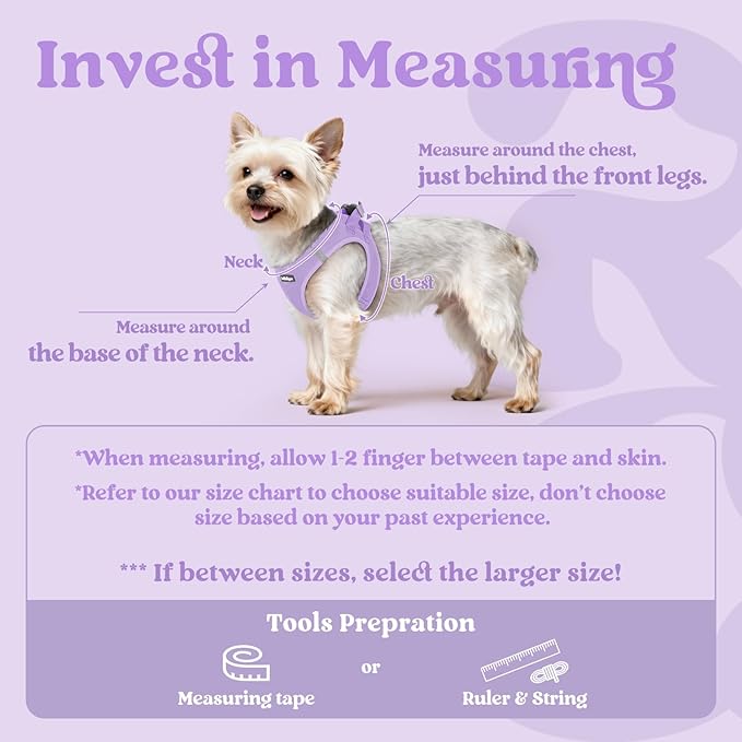 rabbitgoo Small Dog Harness, Step-in Soft Mesh Puppy Vest with Safety Buckle, Breathable Reflective Pet Harness for Small Sized Dogs, Light Purple M