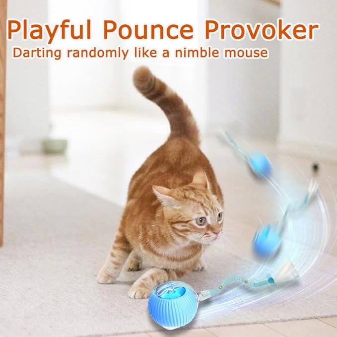 1PC Interactive Cat Toys for Indoor Cats,2025 New Generation Interactive Cat Ball Toy with Elastic Mesh Tail,Automatic Cat/Kitten Toys with Chirping & Motion Activate,Cat Toys for Bored Indoor,Gray