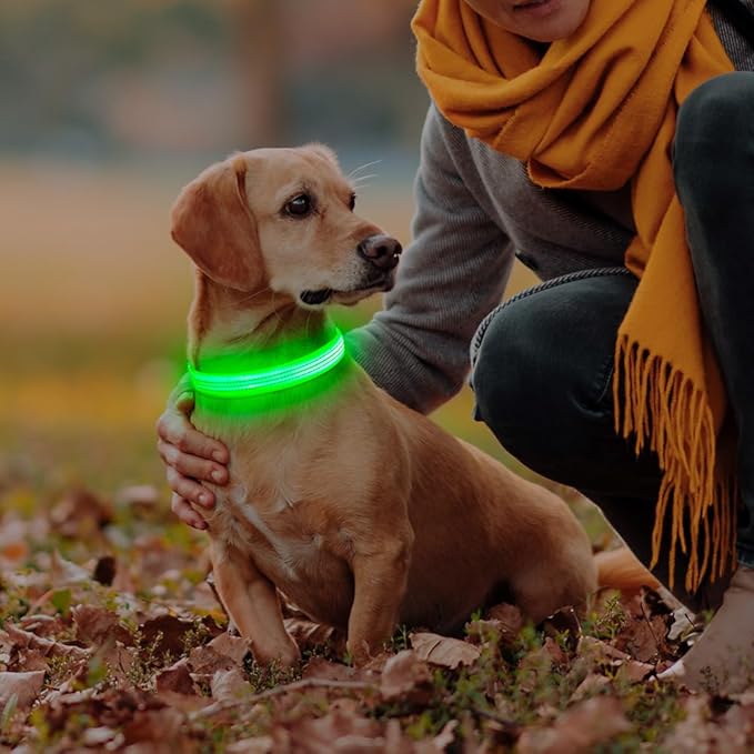 DOMIGLOW Light Up Dog Collars - USB Rechargeable Reflective LED Dog Collar, Water-Resistant Glow Pet Collar Lights for Night Walking Camping (Green, Medium)