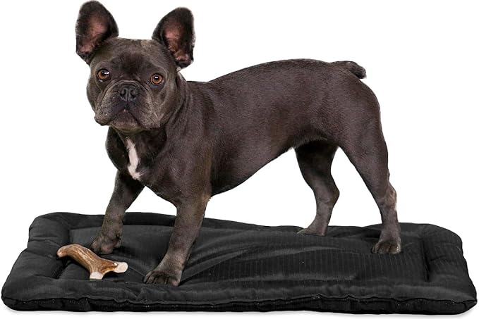 K9 Ballistics Tough Ripstop Dog Crate Pad - Durable, Machine Washable Kennel & Travel Mat for Puppies and X Small Dogs, 23 x 17 fits 24” Wire Crate, Obsidian Black