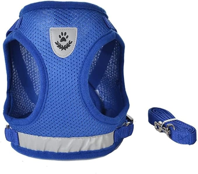 FEimaX Dog Harness and Leash Set for Walking, Soft Mesh Adjustable Easy Control Lightweight Cat Vest Harnesses with Reflective Strips, Escape Proof Small Dogs Cats Vests (Blue, Small)
