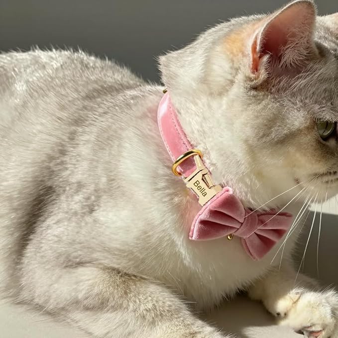 Colorful Velvet Custom Cat Collar, Personalized Cat Collar with Name, Engraved Collar for Small Large Cat Kitten with Bell (Purple,S)