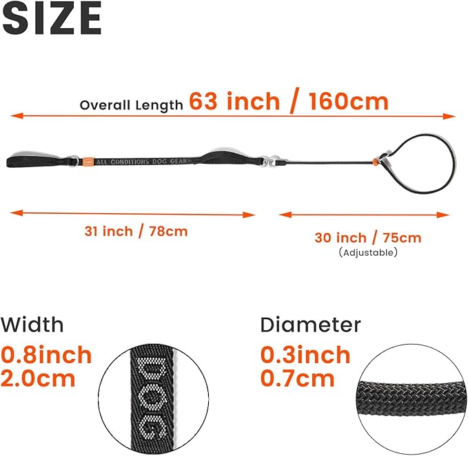 HowGo Slip Lead Dog Leash with Double Handles | Reflective Dog Training Leash with 360° Swivel Anti-Tangle | Heavy-Duty Lead and Collar for Large Medium and Small, No-Pull Walking (Lavender, 5.5FT)