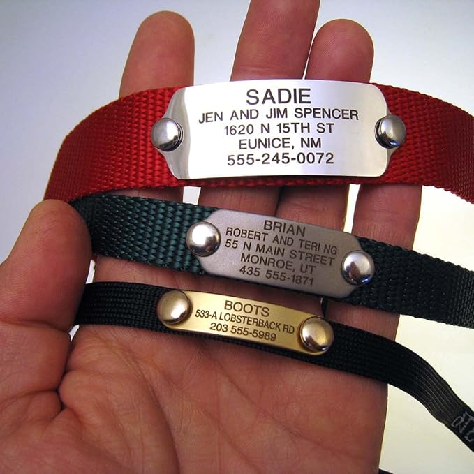LuckyPet Rivet-On Pet ID Tag - Personalized, Silent and Customized - Suitable for Cats and Dogs - Heavy-Duty Pet Identification - Engraved Tags - Medium, Polished Brass Finish
