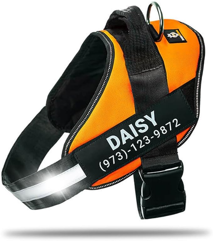Personalized No-Pull Dog Harness with Name Patch, Adjustable, Reflective, Padded, Heavy Duty Pet Vest to Prevent Tugging, Pulling, or Choking, Training and Walking, Orange, XS