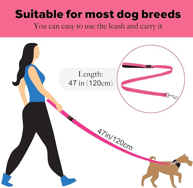 Illumifun LED Dog Leash - USB Rechargeable Light Up Dog Leash Glow in The Dark, Nylon Glowing Dog Lead for Your Dogs Walking (PinkⅡ)