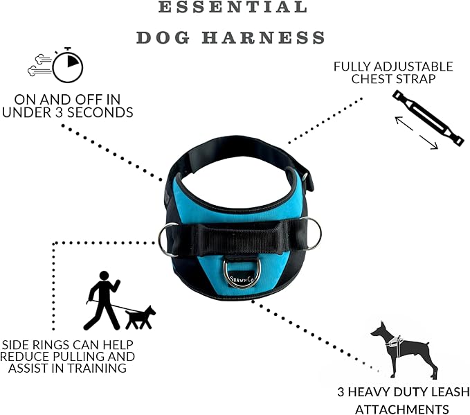 ShawnCo Essential Dog Harness, No-Pull Pet Vest with 3 Leash Clips, No Choke, Reflective, Adjustable and Padded, for Easy Walking and Training for Small, Medium and Large Dogs (Pacific Blue, XL)