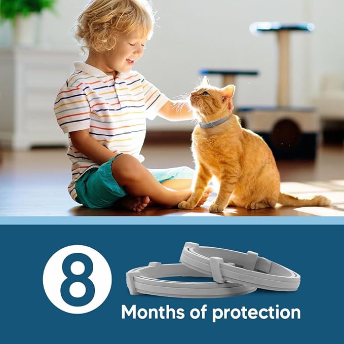 Flea Collar for Cats, Cat Flea and Tick Collar, Cat Flea Collars, Kitten Tick Collars, Adjustable 8 Months Protection (Pack of 2)
