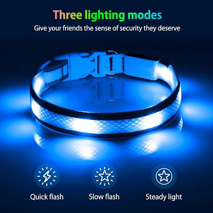 Illumifun LED Dog Collar, USB Rechargeable Light Up Dog Collar, Reflective Sfety Collar Light Glow in The Dark (Medium, Light Blue)