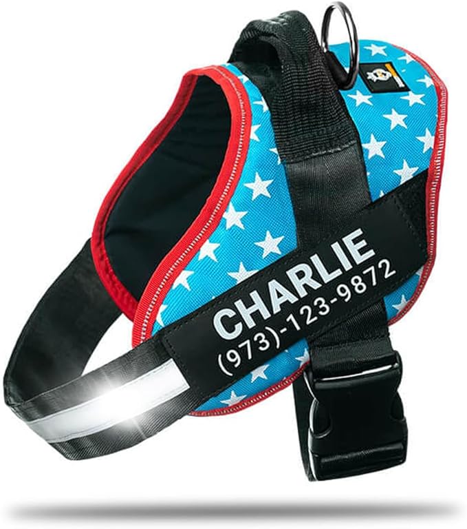 Personalized No-Pull Dog Harness with Name Patch, Adjustable, Reflective, Padded, Heavy Duty Pet Vest to Prevent Tugging, Pulling, or Choking, Training and Walking, Light Blue, L