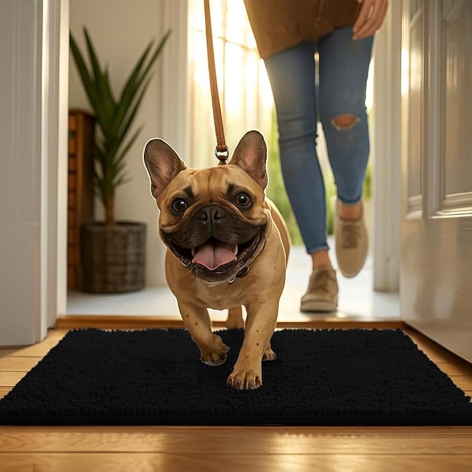 MudGuard Mat™ Dog Door Mat for Muddy Paws, Super Absorbent Microfiber, Non-Slip Indoor Mat, Quick Dry Chenille Mud Mat for Dogs & Entryway, Washable, Black 16" x 24"