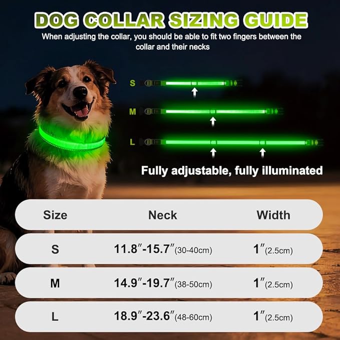 Dolitego LED Dog Collar USB Rechargeable - Light Up Dog Collar Safety Pet Collars with Lights for Night Walking, Camping (Green, M)