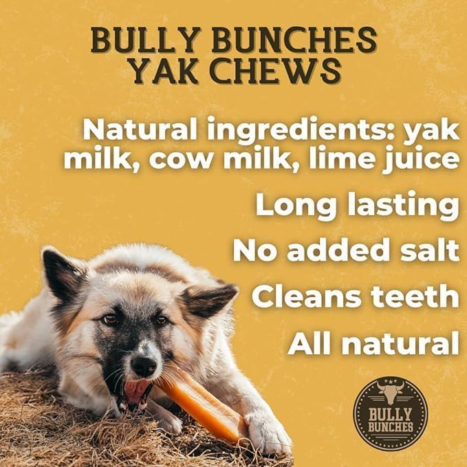 Bully Bunches Premium Mint Himalayan Yak Chew for Dogs, 100g, All-Natural, Long-Lasting, Authentic Yak Milk, Healthy Dental Chew, High-Protein, Grain-Free (Medium, 3 Pack)