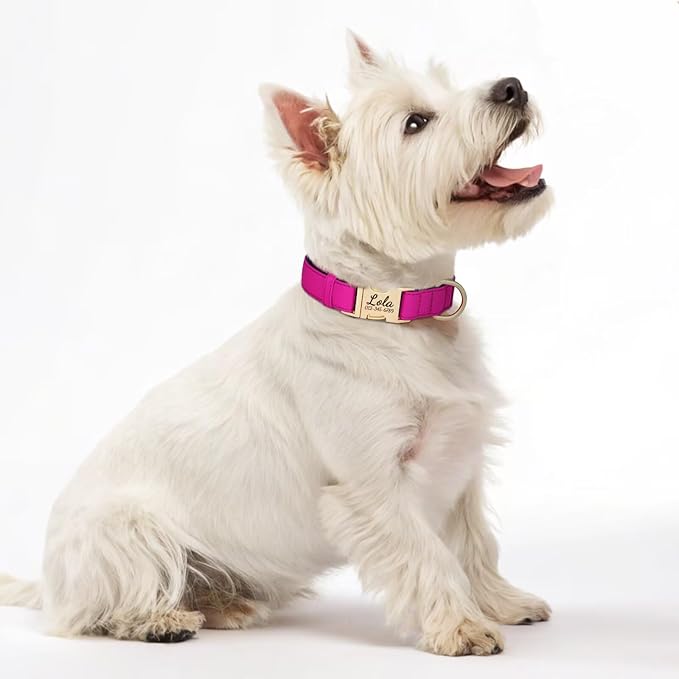 PET ARTIST Colorful Personalized Dog Collars, Custom Dog Collar with Silent Engraved ID Tag, Lightweight Breathable Nylon & Soft Padded, Matching Leash & Poop Bag for Large Dogs,Rose,L Fit 15-23"