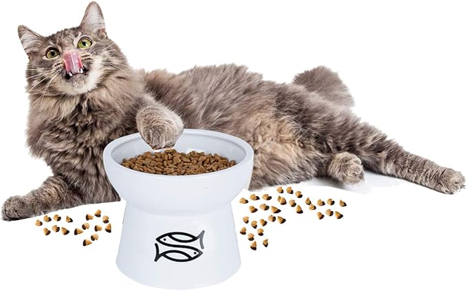 Vencer Cat/Small Dogs Slow Feeding Bowls,Raised Cat Food/Water Bowl (High-Capacity) Elevated Cat Dog Dish,Pet Bowls for Cats or Small Dogs,VCB-002