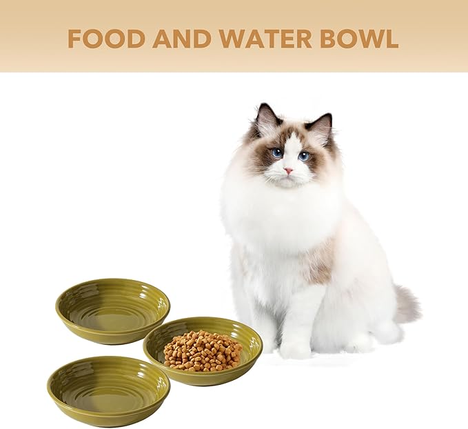 Ceramic Wide Whisker Friendly Cat Dishes, Set of 3 Ceramic Cat Bowls, Anti-Slip Indoor Kitten Feeding Food& Water Dish to Prevent Whisker Fatigue(3 Pcs, Matcha Green)