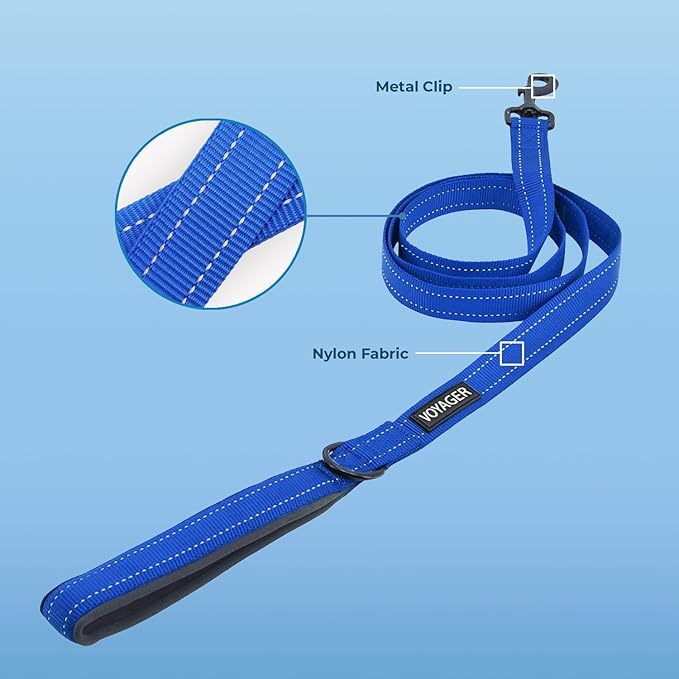 Voyager Reflective Dog Leash with Neoprene Handle, 5ft Long, Supports Small, Medium, and Large Breed Puppies, Cute and Heavy Duty for Walking, Running, and Training - Royal Blue (Leash), M (Pack of 2)