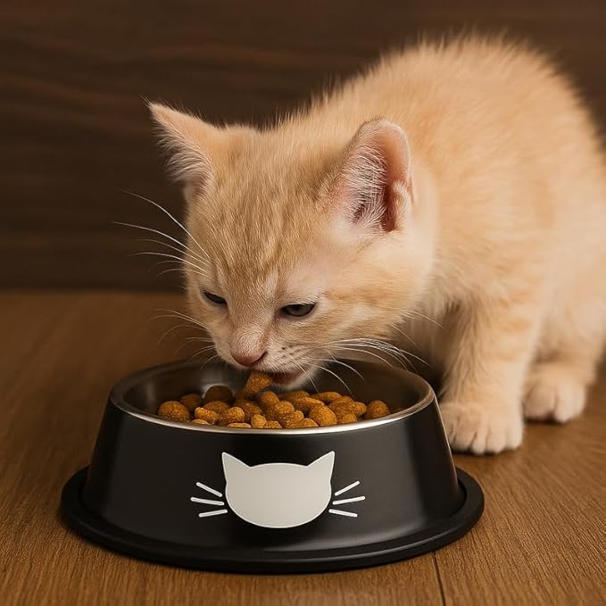 4 Pack Printed Stainless Steel Cat Bowls – 8.1 fl oz Anti-Skid Food & Water Cat Feeding Bowls|Cat Dish for Food and Water Bowl|Cat Feeding Bowl for Kitten (Grey, Red, Orange & Black)