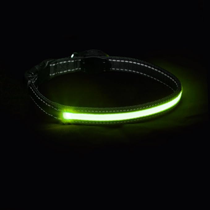 Sherry Kline LED Light-Up Pet Collar - USB Rechargeable - Flashing Glow in The Dark Size Small, Color: Green