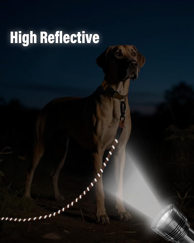 Joytale Long Leash for Dog with Removable Padded Handle, Heavy Duty Lead for Large Medium Dogs,15FT/30FT/50FT/65FT Reflective Training Leash for Play, Camping, Backyard Tie Out, Orange, 50FT