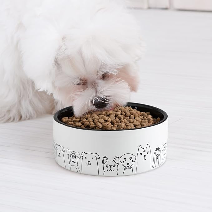 Fun Elements Ceramic Dog Bowls - Non-Slip, 16 Fl Oz Black Bowls with Adorable Dog Patterns (Small)