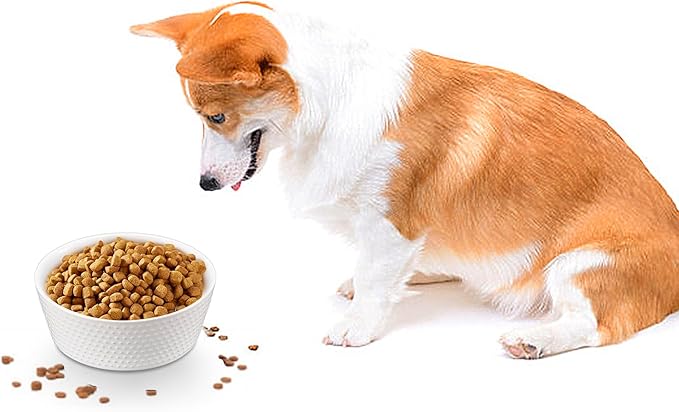 6.9" Non-Slip Ceramic Dog Bowl, 33 Oz Heavy-Duty Dog Food/Water Dish, Pet Feeding Bowl for Small and Medium Dogs, Food Grade Porcelain Pet Feeder Bowl, Microwave and Dishwasher Safe, White