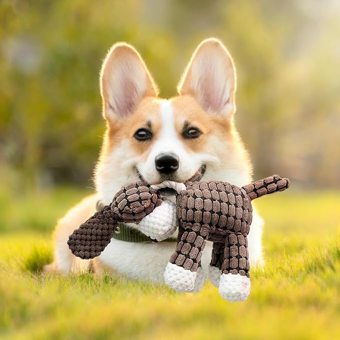 Fiopet Upgrade Bite Buddy Chew Toy for Dogs, 2025 New Petsboro Bitebuddy Dog Toy Indestructible Stuffed Animals for Dogs, Cute Soft Resistant Squeaky Dog Toys for Heavy Chewers (A2+A3)