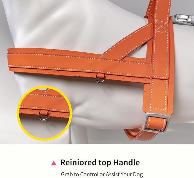 Magnetic Quick-Release Buckle Dog Harness and Leash Set, Easy Walk Faux Leather Puppy Harness, Easy On & Off Dog Vest with Handle for Medium, Large Girl Boy Dogs for Hiking Training, Orange, L