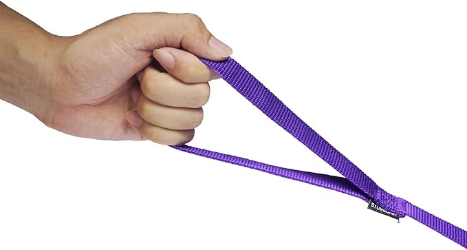 Siumouhoi Strong Durable Nylon Dog Training Leash, 1 Inch Wide Traction Rope, 6 ft 10ft 15ft Long, for Small and Medium Dog (Purple, 15 Feet)