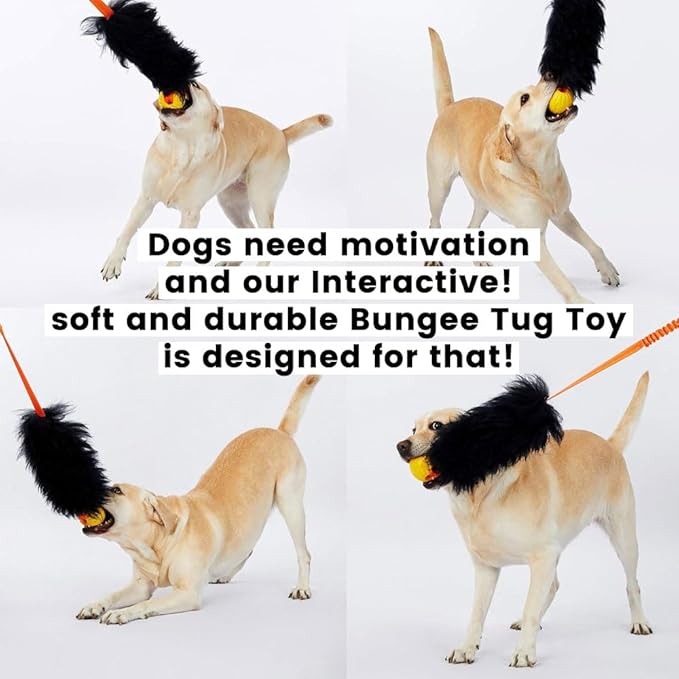 HOWGO Dog Rope Toy,Dog Bungee Chaser Toy 100% Sheepskin,Sheep Smell Tug Toy for All Breeds (Green, Long Without Ball)