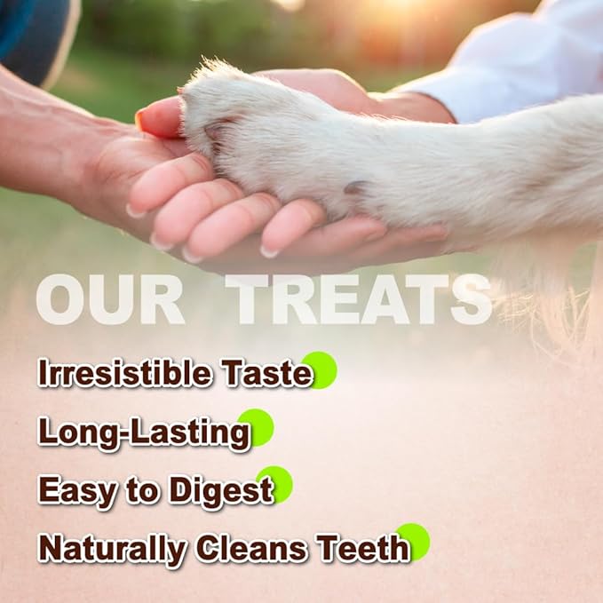 A Freschi srl Turkey Tendons for Dogs, Long-Lasting, Hypoallergenic Rawhide Alternative, Human Grade, Healthy Puppy Chews, Natural Dog Treats for Small Dogs, Lollipop (S), 40 Count Box